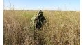 Маскировочный халат Taganrog Кикимора – купить по цене 3550 руб. в интернет-магазине в городе Тюмень картинка 13
